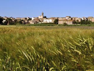 Charming Stone House near Beach Retreat - 6