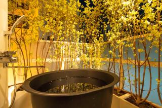 Urban Resort Higashi-Umeda - 7