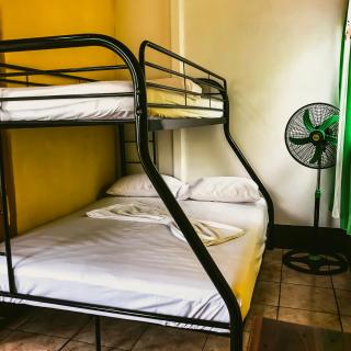 Perezoso Lodge - Cahuita - 0