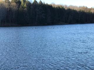 Hidden Lakefront Retreat - Sherburne - 6