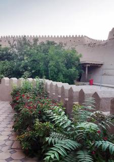 Guest House Dilorom B&B - 7