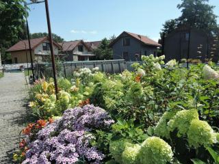 Holiday house with a swimming pool, Swinoujscie - Świnoujście - 6