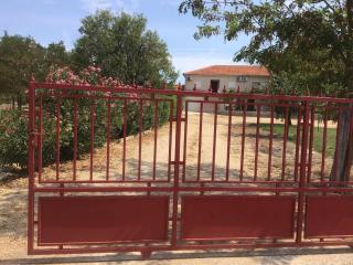 Dan's Apartment - Biograd na Moru - 9
