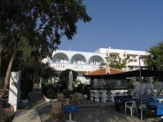 Akti Studios - Karpathos - 6