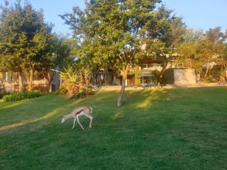 Luxurious Hideaway Villa - 5