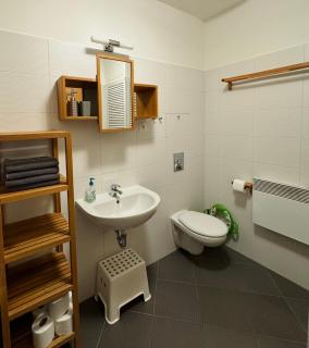 Apartmán Nisa Bedřichov - Bedřichov - 4