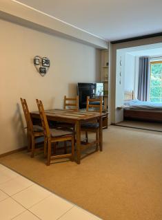 Apartmán Nisa Bedřichov - 7