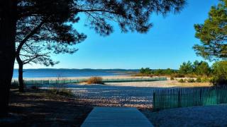 House de la Canopée, Swimming pool, Lake, Forest, large garden and WIFI - Hourtin - 4