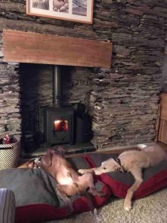 Pebble Cottage - Aberdyfi - 2