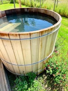 Gites-domainedupin, cottage Bain Nordique PRIVÉ - Mosnes - 5