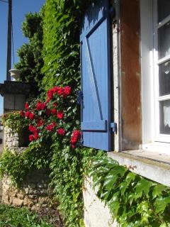 Le Clos de la Font Queroy - Vouthon - 5