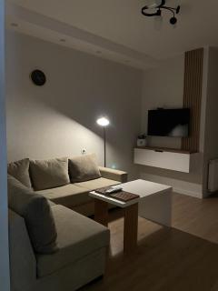 Modern apartment in Borjomi - Borjomi - 5