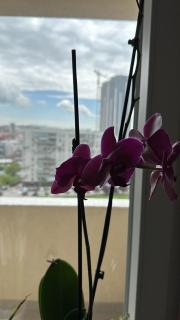 PrishtinaView - Pristina - 3