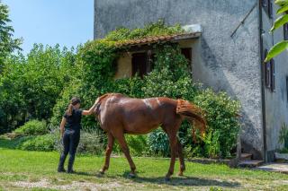 Al Maneggio - Tuscan Farmhouse - Barga - 9