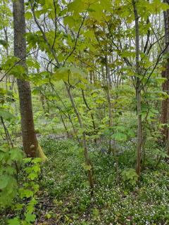 Beach Hangout Hygge - 4