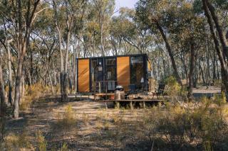 Treetops Farmstay 1 by Tiny Away - Maldon - 9