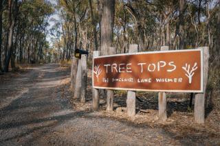 Treetops Farmstay 1 by Tiny Away - Maldon - 8