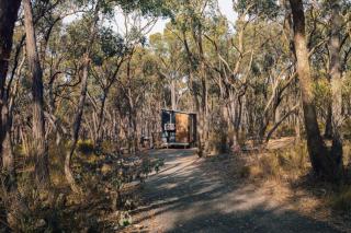 Treetops Farmstay 1 by Tiny Away - Maldon - 3