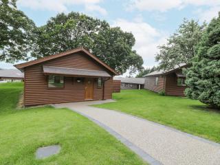 Luxury Lodge 69 - Rhyl - 9