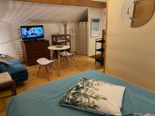 Studio privé dans pavillon - Cormeilles-en-Parisis - 9