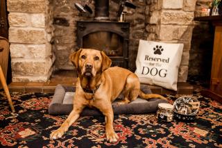 The Barn Guest House and Tearoom - Hutton le Hole - 3