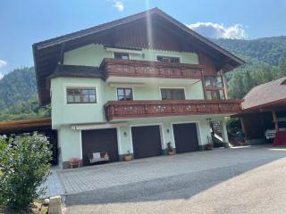 Familienappartement Seppenbauer - Bad Ischl - 9
