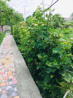 Motkor Guest House - 8