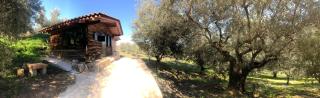 Farmhouse Prosilio - - 8