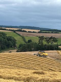 Lower Thornton Farm - 3