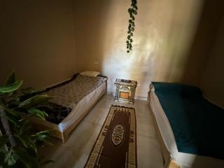 Zizo fayed - Kairo - 0