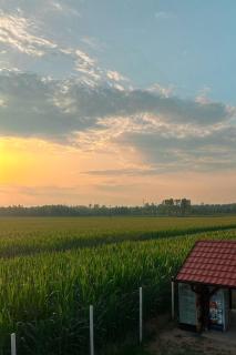 Beocinska Kapija - 6