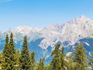 Apartment Ambassador II Apt 13 by Interhome - Nendaz - 8