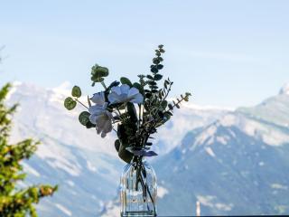 Apartment Hauts de Nendaz A F3 by Interhome - Nendaz - 5