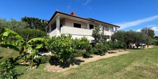 Apartmaji Modri horizont Seča - Blue Horizon Apartments Seca - 1