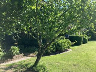 Chaumière de famille - 6