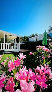 La Carabasse charmant mobil-home très bien équipé - Vias - 0