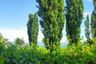 Villa Bionda- unique gem with private pool on Lake Garda - Sirmione - 4
