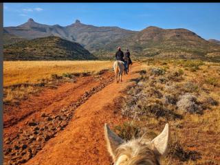 Twin Peaks Cottages and Horse Trekking - Maseru - 9