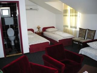 Motel Stara Vrba - 8
