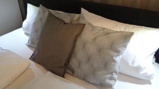 Ferienwohnung Quitte - Obsthof Steffelin - - 3