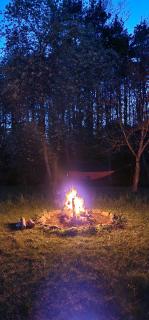 Sauna House in the forest - 1