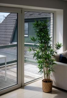 Ferienwohnung Ausguck - Breege - 9