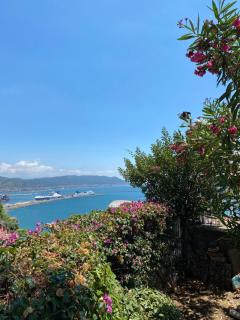 Ninfa Roda B&B - Vietri sul Mare - 1