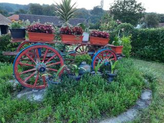 Vila Castell - Stara Moravica - 2