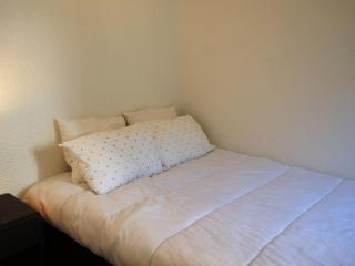 Appartement cosy au centre de Chamonix avec jardin, 2 pièces, bien équipé, accepte animaux - FR-1-507-29 - Chamonix - 1