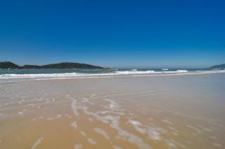 Melhor localização do Campeche, 200m da Praia P836 - Florianópolis - 4