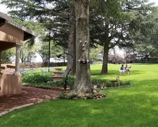 Drinkwater Guest Farm - Grootgewaagd - 9