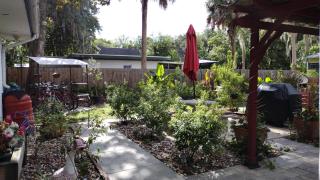 The Three Sisters - Crystal River FL - Crystal River - 6