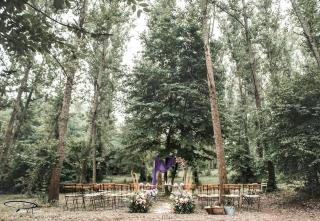 B&B Tenuta il Galletto - Casale Monferrato - 6