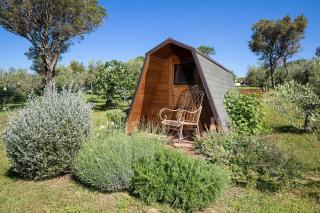 Villa Beach House Olive - Pomer - 2